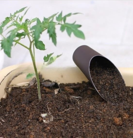 Plastic Bucket Shovel Barrel Shovel Succulent Planting Soil Shovel