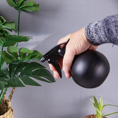 Stainless Steel Watering Watering Pot Black Gold Gardening Mini Household Sprinkler
